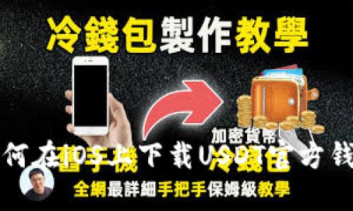 如何在iOS上下载USDT官方钱包