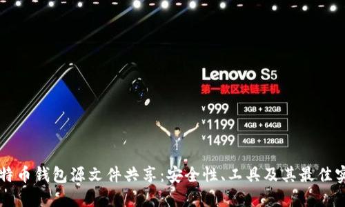 比特币钱包源文件共享：安全性、工具及其最佳实践