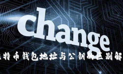 比特币钱包地址与公钥的区别解析