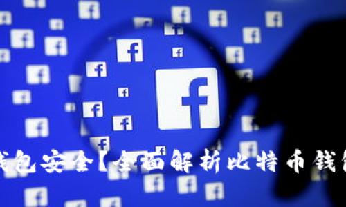 存比特币用什么钱包安全？全面解析比特币钱包的选择与安全性