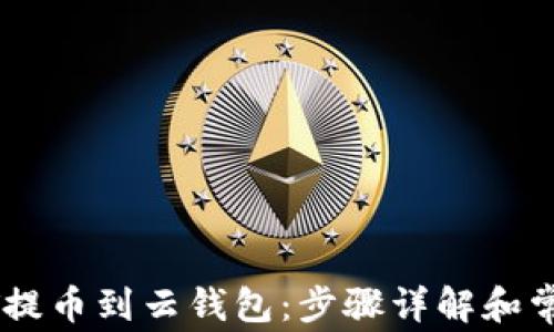 
如何将USDT提币到云钱包：步骤详解和常见问题解答