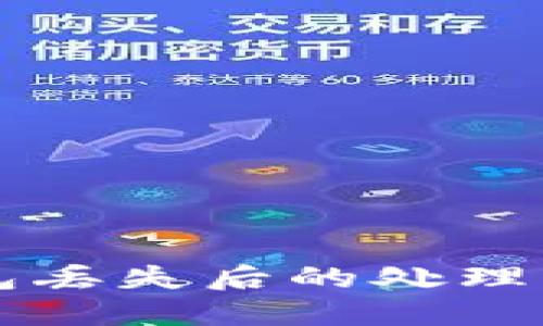 狗狗币电子钱包丢失后的处理方法与安全指南