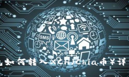 TP钱包如何转入XCH（Chia币）详细指南