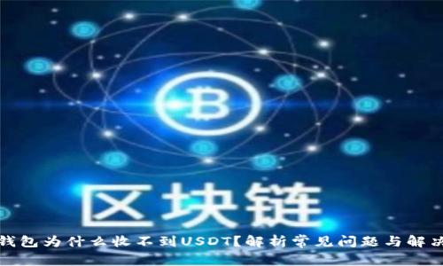 数字钱包为什么收不到USDT？解析常见问题与解决方案