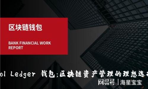 Sol Ledger 钱包：区块链资产管理的理想选择