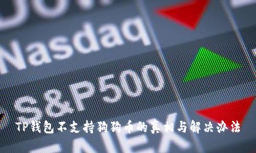 TP钱包不支持狗狗币的真相与解决办法