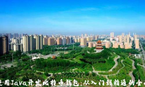
如何使用Java开发比特币钱包：从入门到精通的全面指南