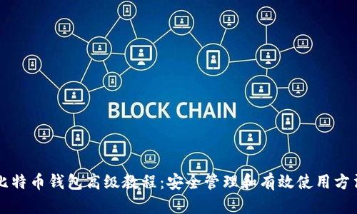 比特币钱包高级教程：安全管理和有效使用方法