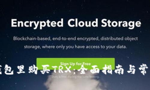 如何在TP钱包里购买TRX：全面指南与常见问题解答
