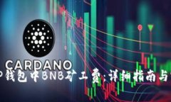 如何在TP钱包中BNB矿工费：