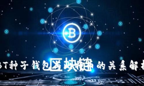 BT种子钱包与比特币的关系解析