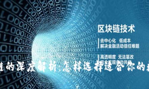 以太坊钱包与公链的深度解析：怎样选择适合你的数字资产管理工具
