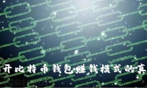 揭开比特币钱包赚钱模式的真相