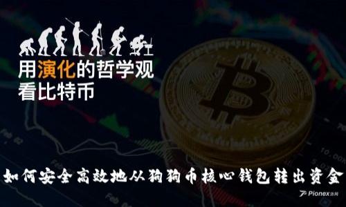 如何安全高效地从狗狗币核心钱包转出资金