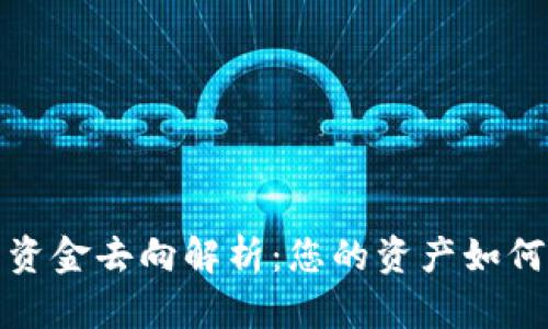 TP钱包中的资金去向解析：您的资产如何管理和保障