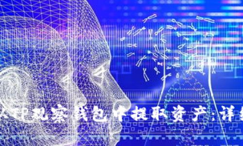 如何从TP观察钱包中提取资产：详细指南