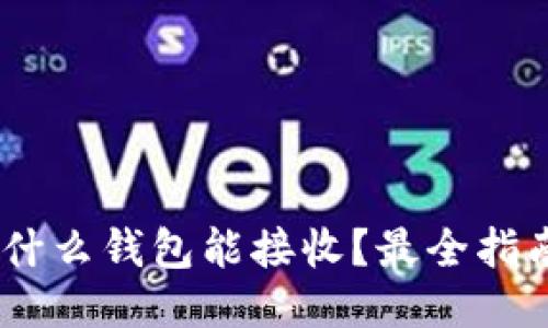 USDT用什么钱包能接收？最全指南与推荐
