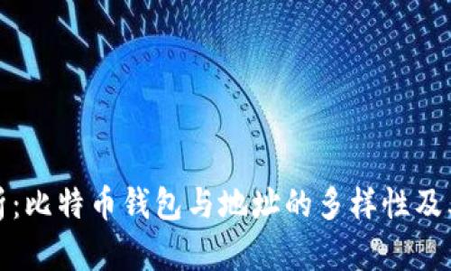 深度解析：比特币钱包与地址的多样性及其安全性