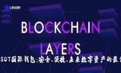 探秘USDT国际钱包：安全、