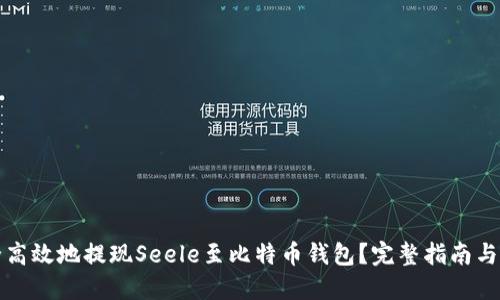 如何安全高效地提现Seele至比特币钱包？完整指南与实用技巧