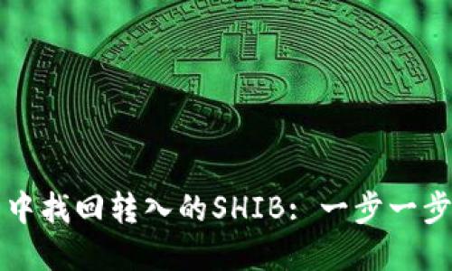 如何在TP钱包中找回转入的SHIB: 一步一步教你解决问题