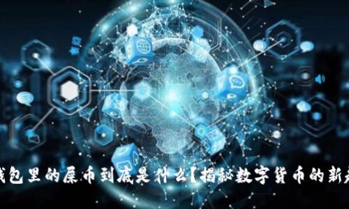 TP钱包里的屎币到底是什么？揭秘数字货币的新趋势