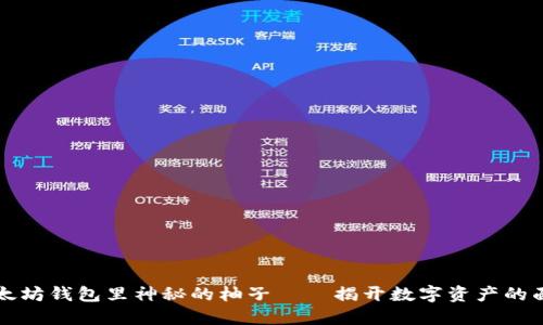 以太坊钱包里神秘的柚子——揭开数字资产的面纱