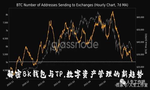 解密BK钱包与TP，数字资产管理的新趋势