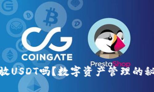 : XMR钱包能放USDT吗？数字资产管理的秘密与风险解析