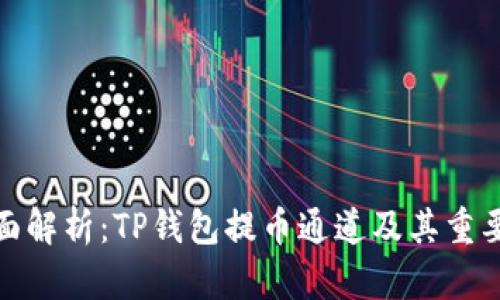 全面解析：TP钱包提币通道及其重要性