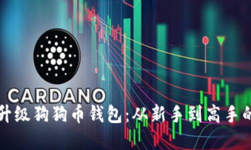如何高效升级狗狗币钱包：从新手到高手的完全指南