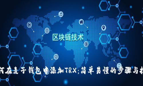 如何在麦子钱包中添加TRX：简单易懂的步骤与技巧