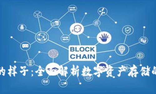 以太坊钱包的样子：全面解析数字资产存储的安全与便捷