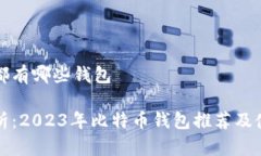 比特币都有哪些钱包全面