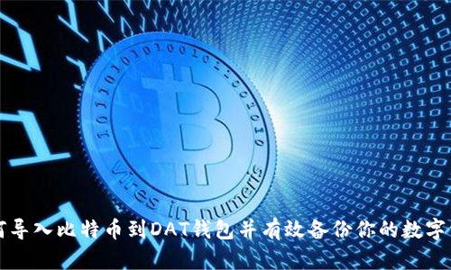 如何导入比特币到DAT钱包并有效备份你的数字资产