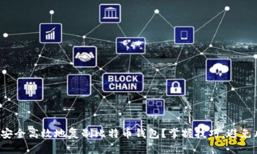 如何安全高效地复制比特币钱包？掌握技巧，避免风险！