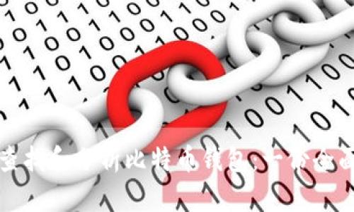 如何查找和分析比特币钱包：一份全面指南