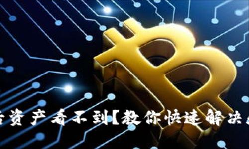 TP钱包导入后资产看不到？教你快速解决和检查的技巧