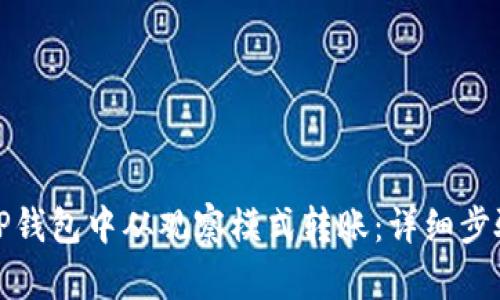 如何在TP钱包中从观察模式转账：详细步骤与技巧