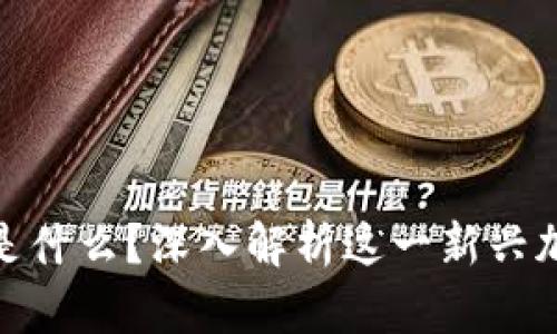 TP钱包薄饼是什么？深入解析这一新兴加密货币概念
