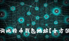 如何轻松查询比特币钱包