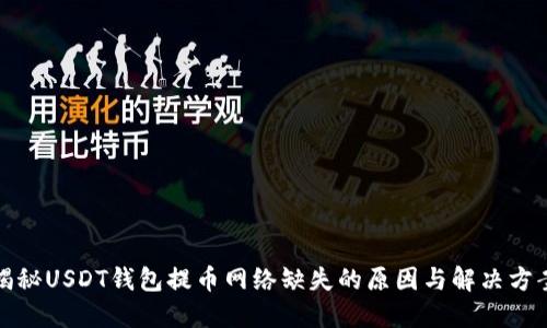 揭秘USDT钱包提币网络缺失的原因与解决方案