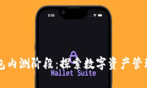 以太坊钱包内测阶段：探索数字资产管理的新纪元