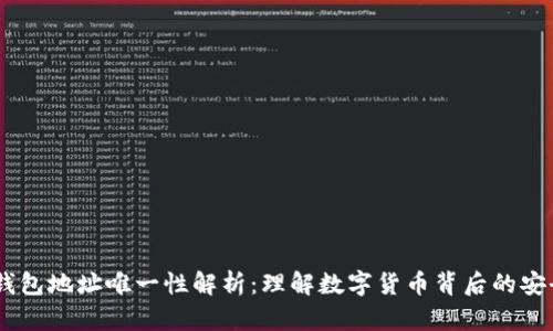 USDT钱包地址唯一性解析：理解数字货币背后的安全机制
