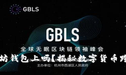 莱特币能存以太坊钱包上吗？揭秘数字货币跨链存储的那些事