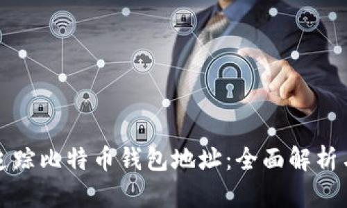 如何有效追踪比特币钱包地址：全面解析与实用技巧