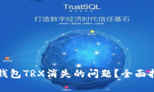如何解决波宝钱包TRX消失的问题？全面指南与解决方案