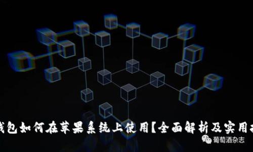 TP钱包如何在苹果系统上使用？全面解析及实用技巧