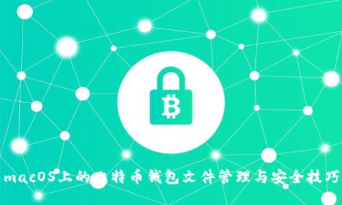 macOS上的比特币钱包文件管理与安全技巧
