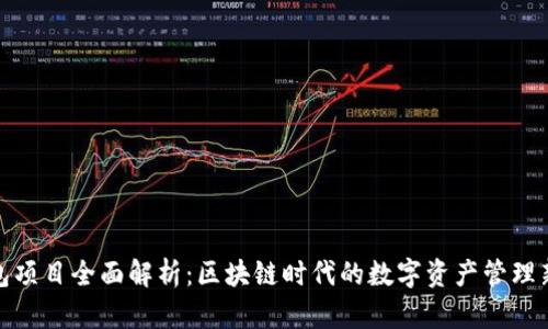 TP钱包项目全面解析：区块链时代的数字资产管理新选择